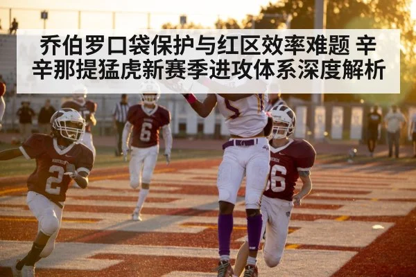 american football endzone touchdown catch