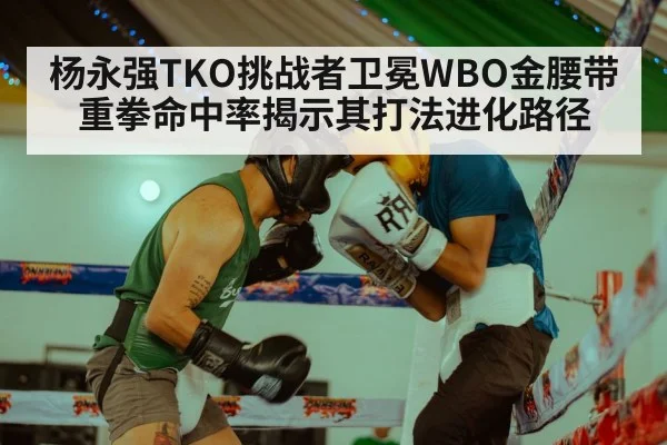 杨永强TKO挑战者卫冕WBO金腰带 重拳命中率揭示其打法进化路径