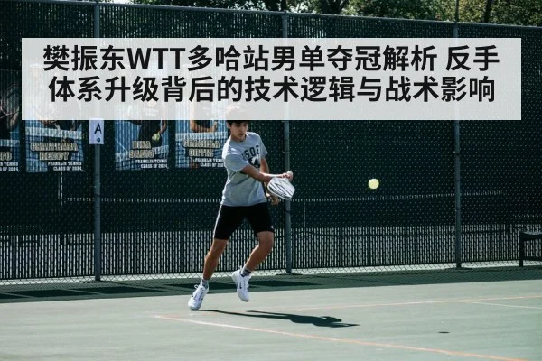 樊振东WTT多哈站男单夺冠解析 反手体系升级背后的技术逻辑与战术影响