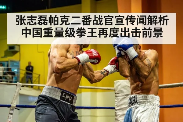 张志磊帕克二番战官宣传闻解析 中国重量级拳王再度出击前景